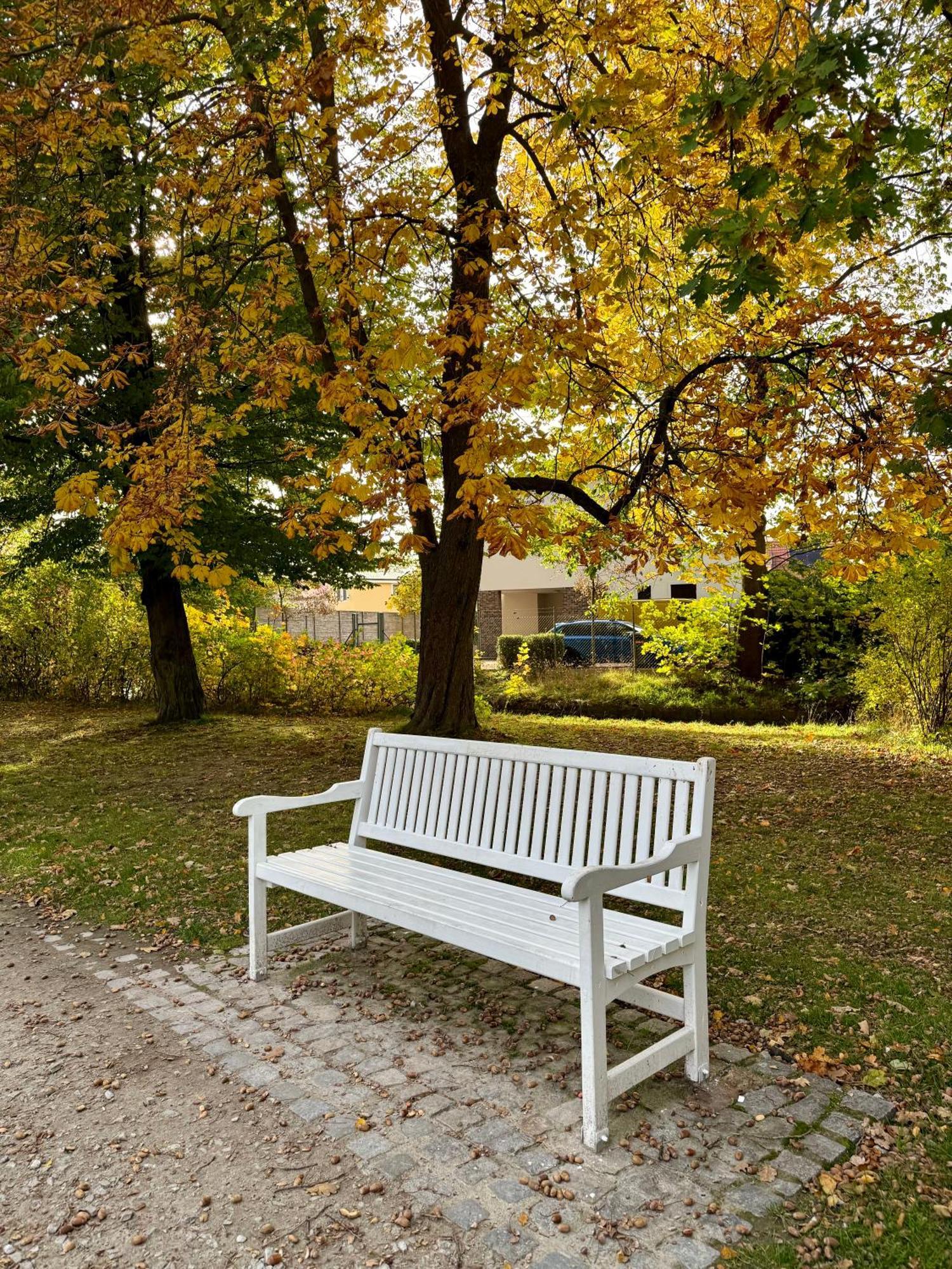 Penzion U Zameckeho Parku Třeboň Exterior foto
