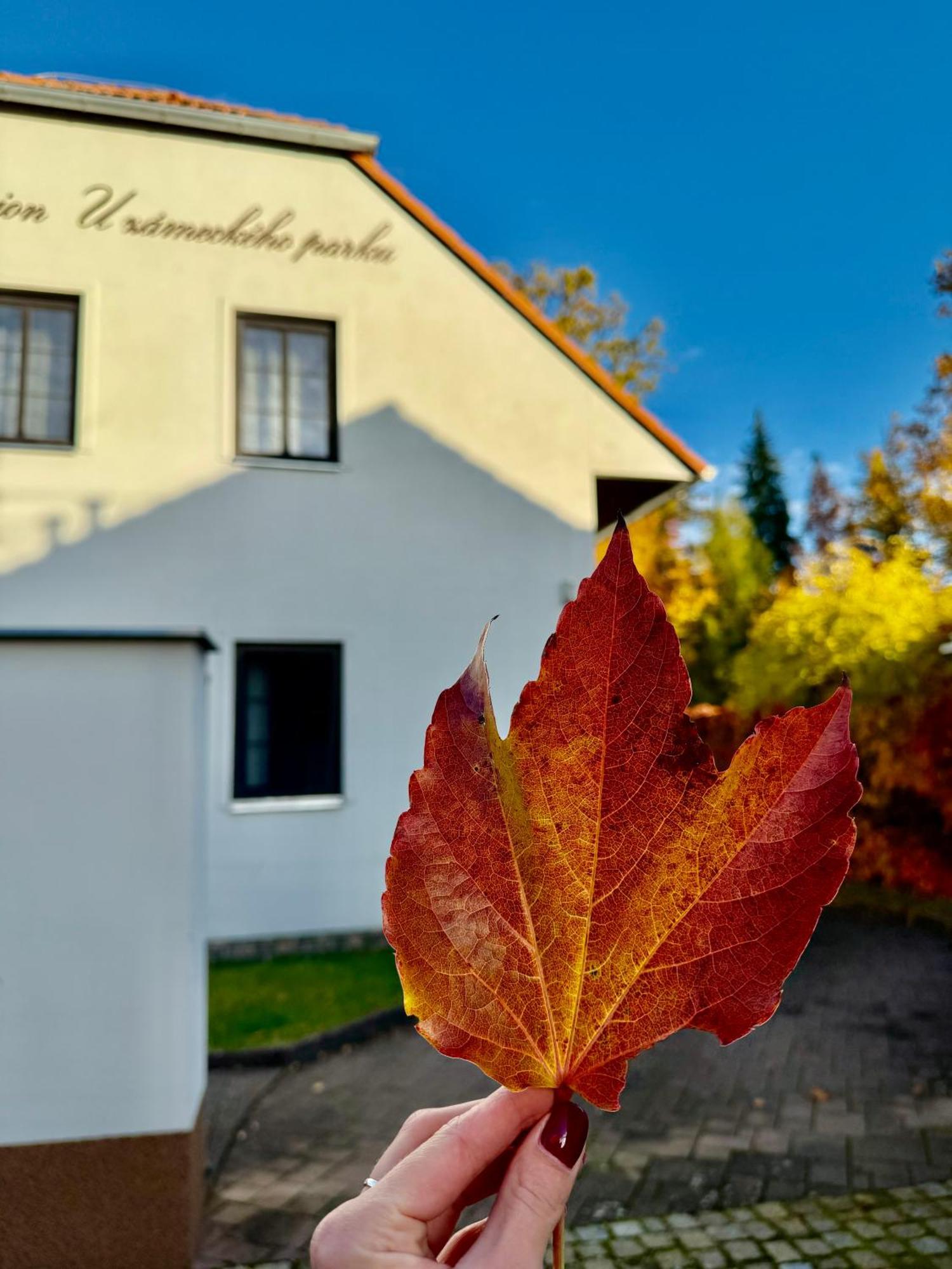 Penzion U Zameckeho Parku Třeboň Exterior foto
